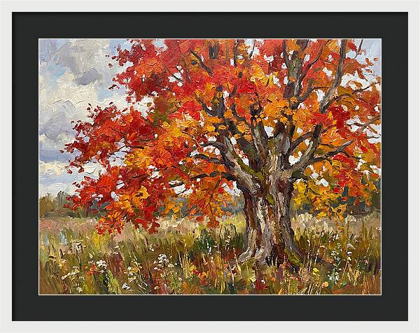 Vibrant Autumn Maple Tree