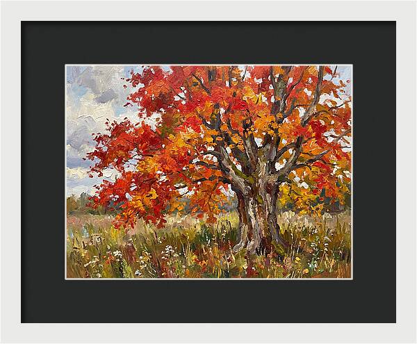 Vibrant Autumn Maple Tree