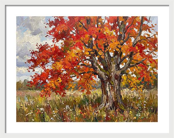 Vibrant Autumn Maple Tree