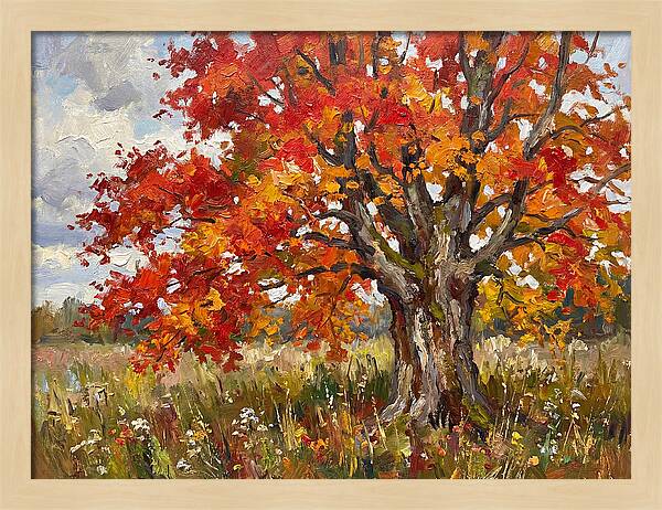 Vibrant Autumn Maple Tree
