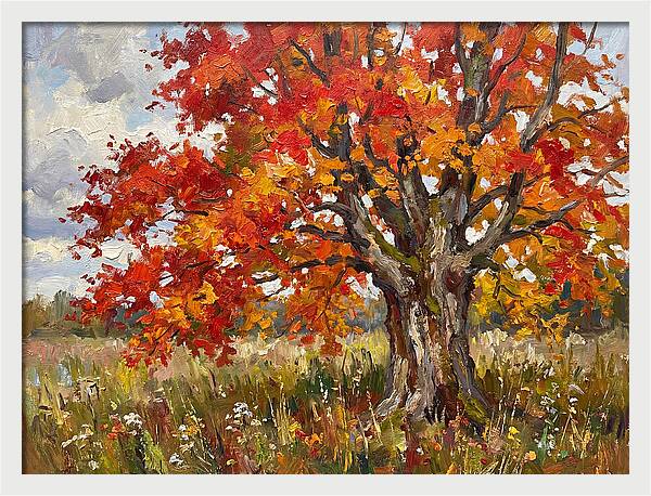 Vibrant Autumn Maple Tree