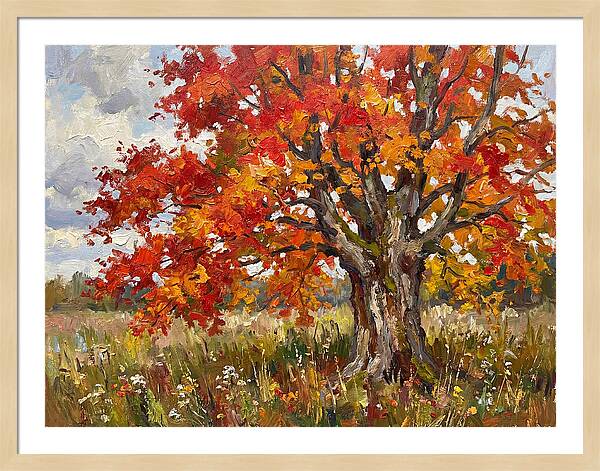 Vibrant Autumn Maple Tree