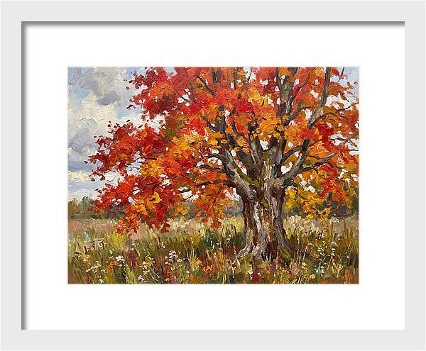 Vibrant Autumn Maple Tree