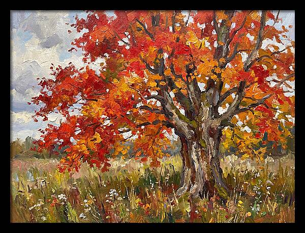 Vibrant Autumn Maple Tree