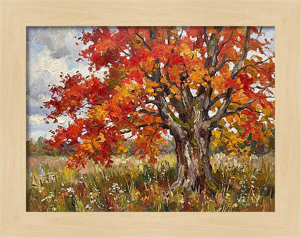 Vibrant Autumn Maple Tree
