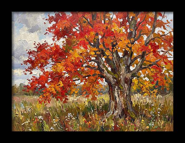 Vibrant Autumn Maple Tree