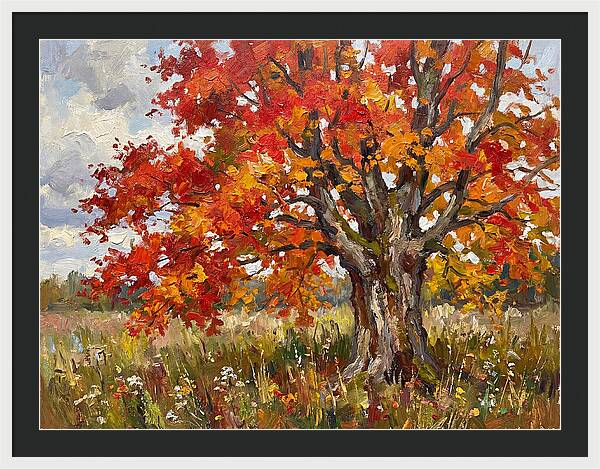 Vibrant Autumn Maple Tree