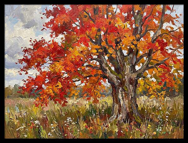 Vibrant Autumn Maple Tree