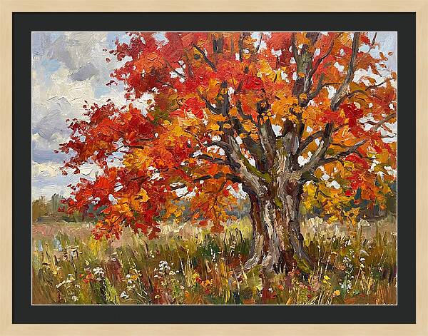 Vibrant Autumn Maple Tree