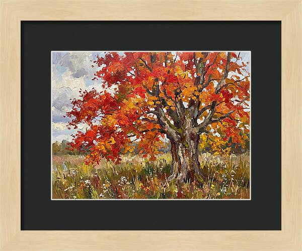 Vibrant Autumn Maple Tree