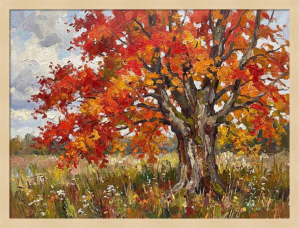 Vibrant Autumn Maple Tree