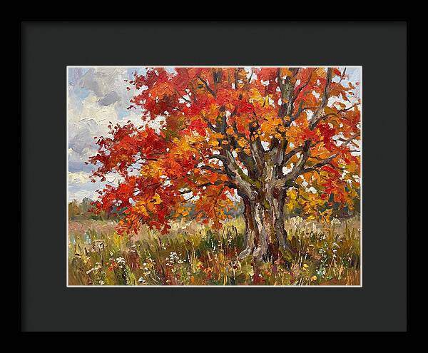 Vibrant Autumn Maple Tree