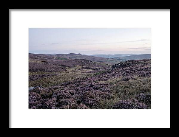 Vibrant Blooms Of North York Moors