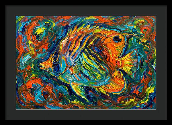 Vibrant Butterflyfish Dance