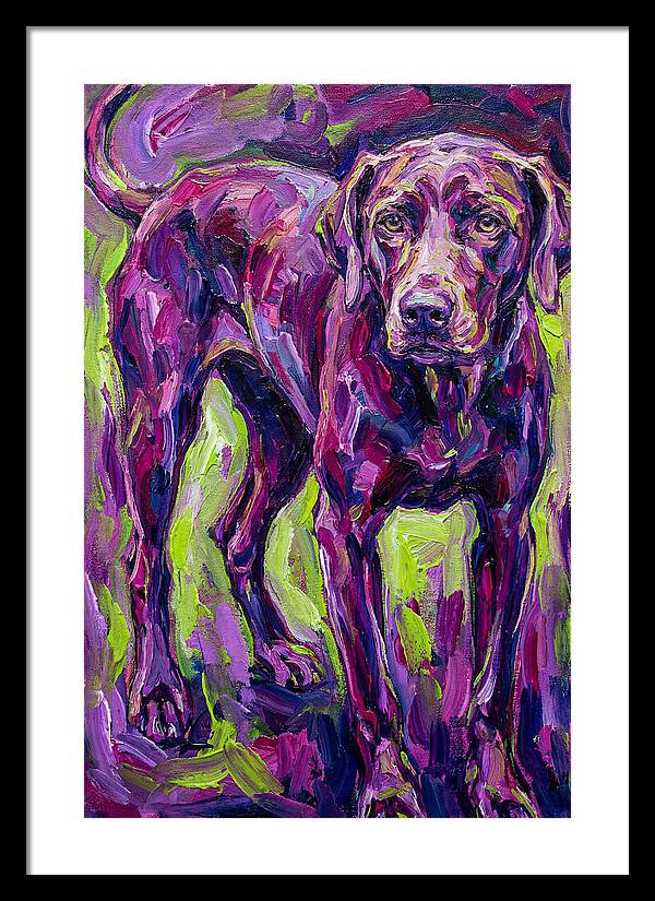 Vibrant Canine Presence