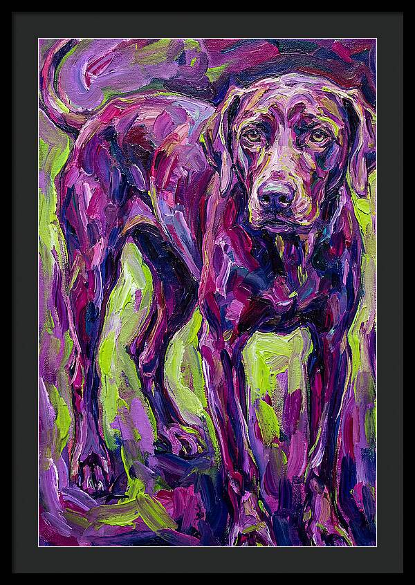 Vibrant Canine Presence