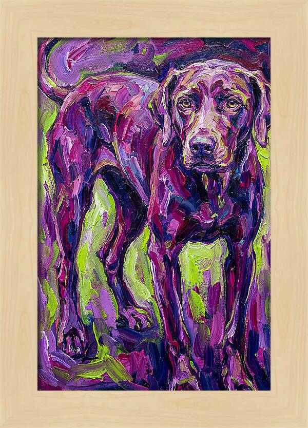Vibrant Canine Presence