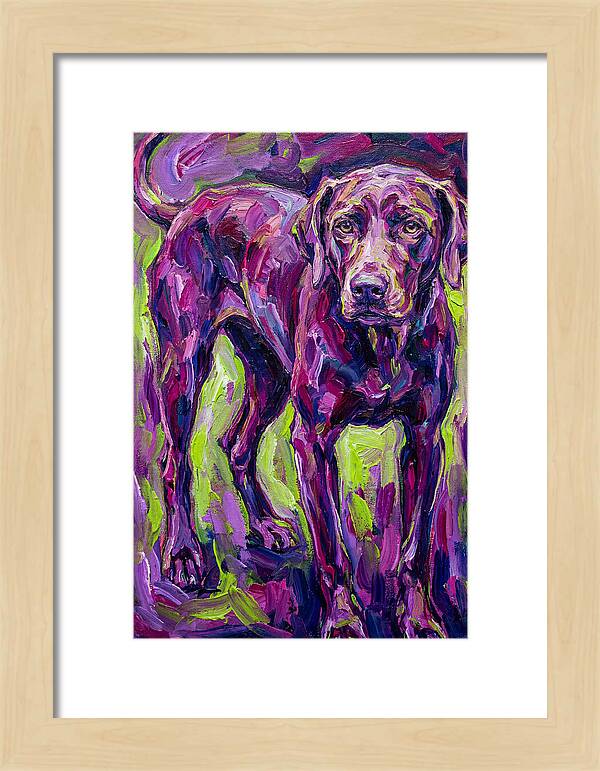 Vibrant Canine Presence