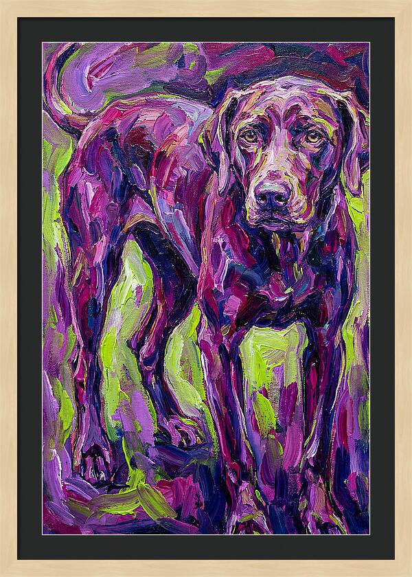 Vibrant Canine Presence