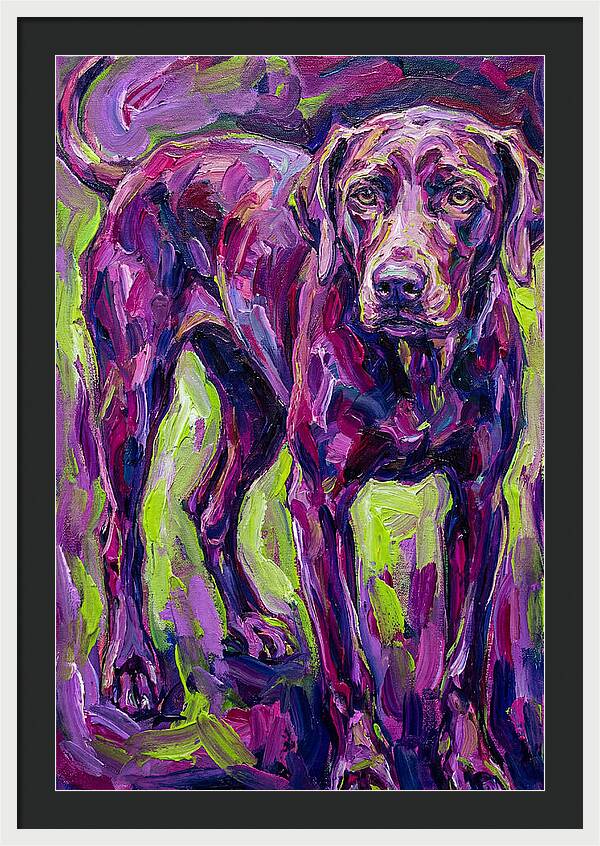 Vibrant Canine Presence