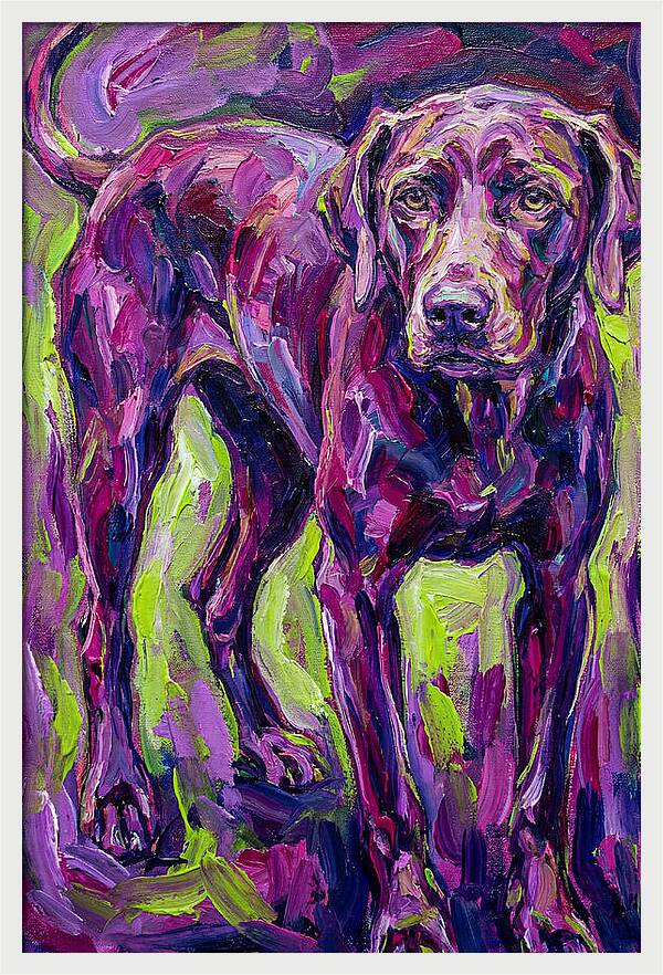 Vibrant Canine Presence