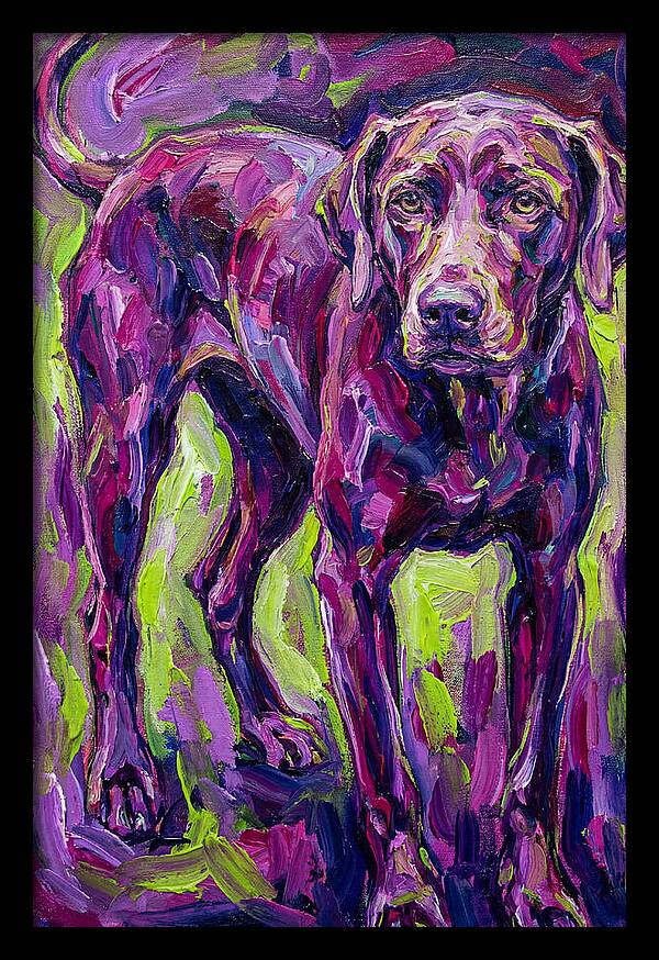 Vibrant Canine Presence