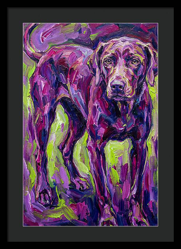 Vibrant Canine Presence
