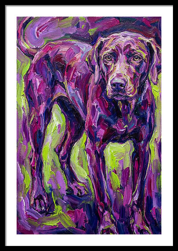 Vibrant Canine Presence