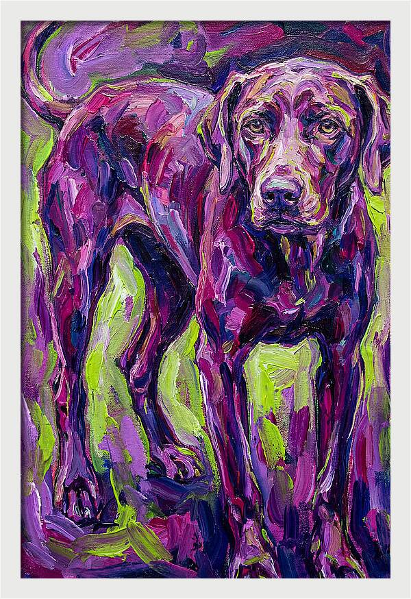 Vibrant Canine Presence
