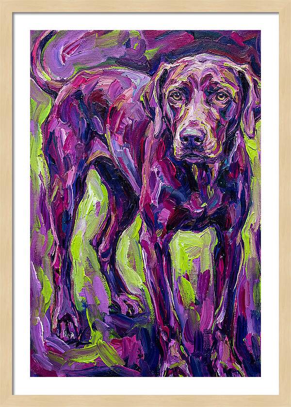 Vibrant Canine Presence