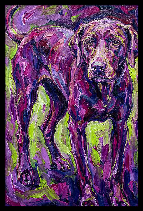 Vibrant Canine Presence