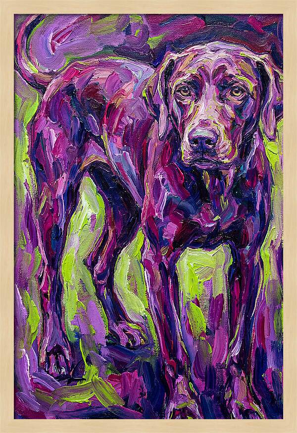 Vibrant Canine Presence