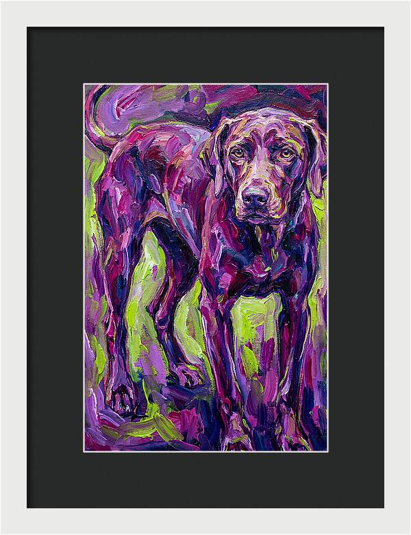 Vibrant Canine Presence