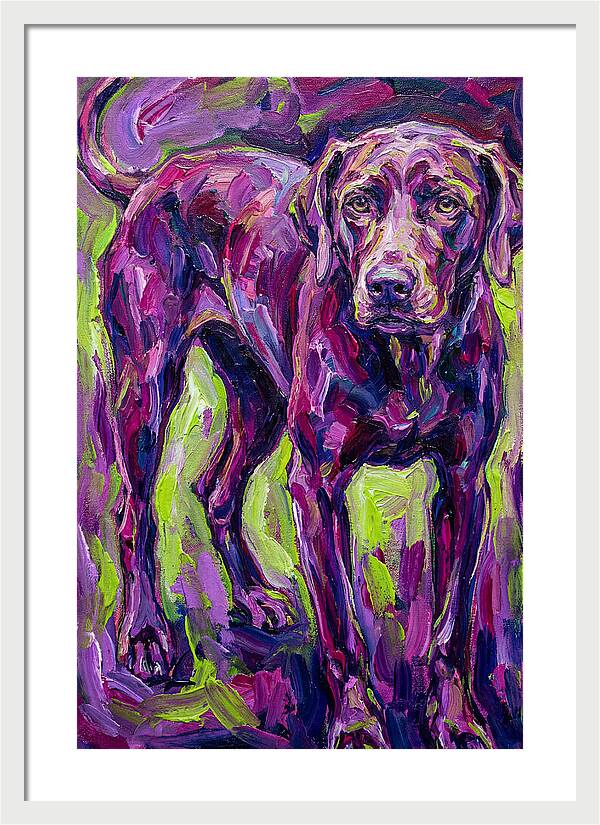 Vibrant Canine Presence
