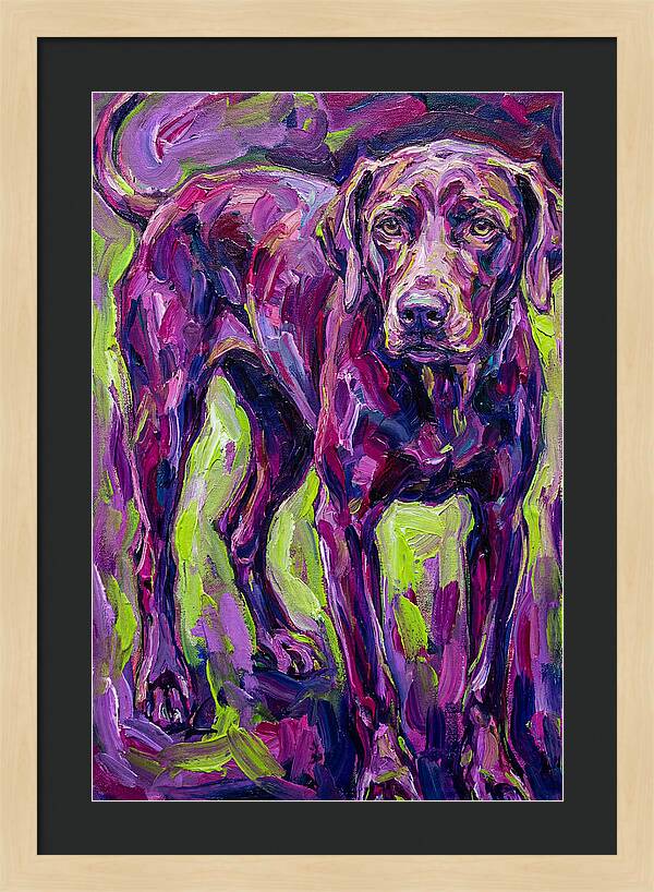 Vibrant Canine Presence