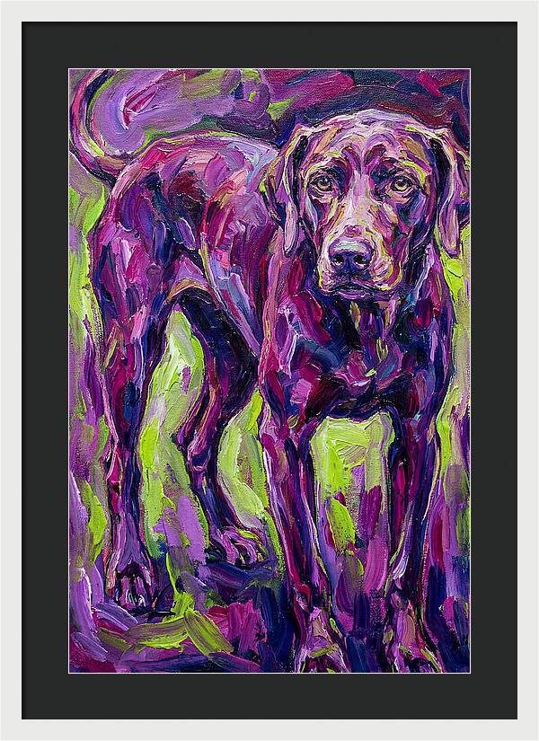 Vibrant Canine Presence