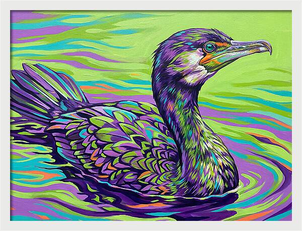 Vibrant Cormorant Reflection