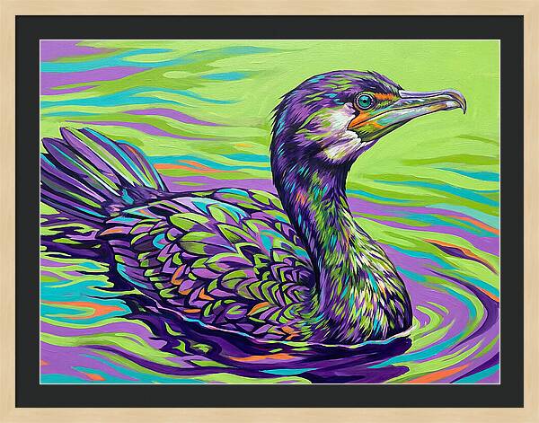 Vibrant Cormorant Reflection