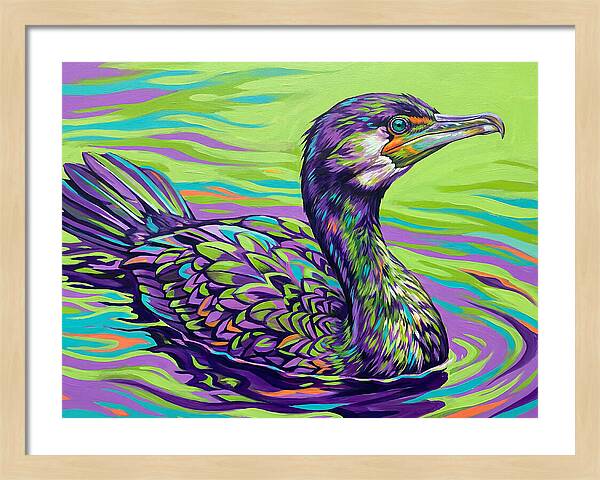 Vibrant Cormorant Reflection