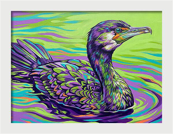 Vibrant Cormorant Reflection