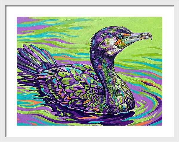 Vibrant Cormorant Reflection
