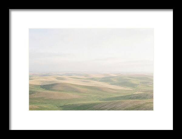 Vibrant Fields Of Palouse