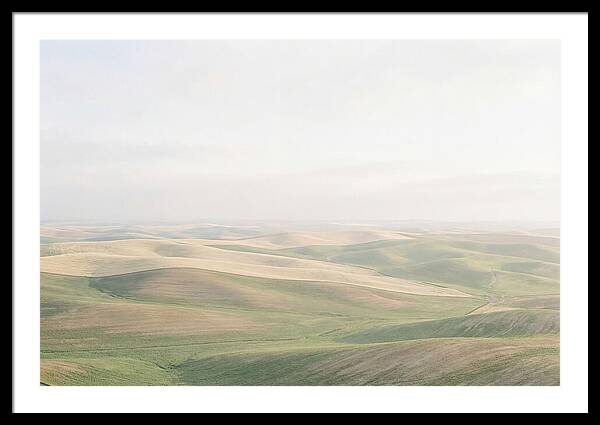 Vibrant Fields Of Palouse