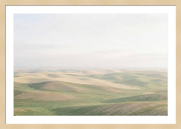 Vibrant Fields Of Palouse