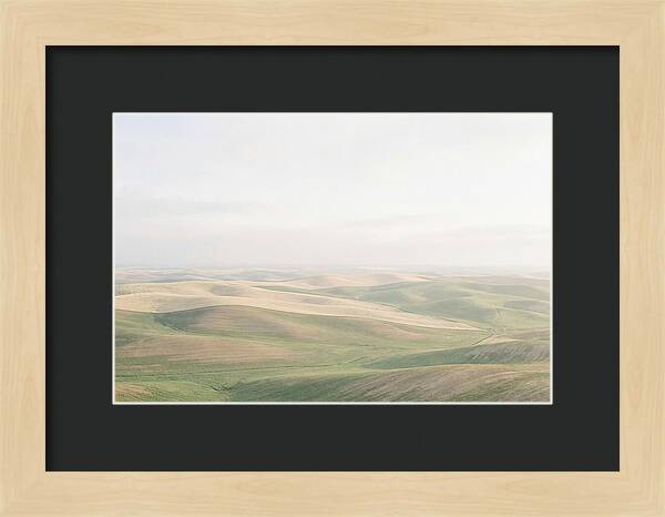 Vibrant Fields Of Palouse