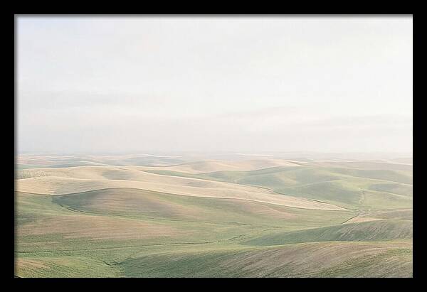 Vibrant Fields Of Palouse