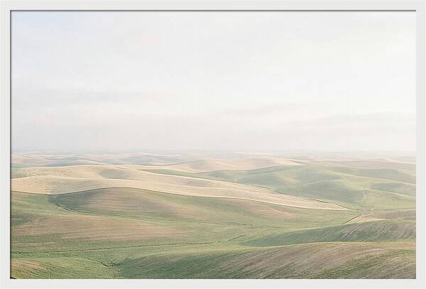 Vibrant Fields Of Palouse
