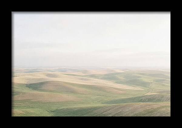 Vibrant Fields Of Palouse