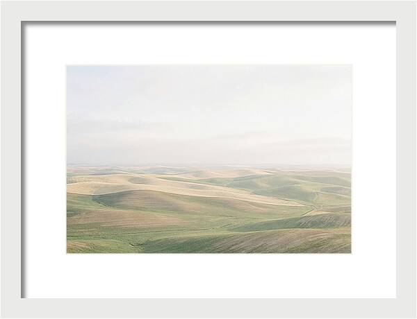 Vibrant Fields Of Palouse