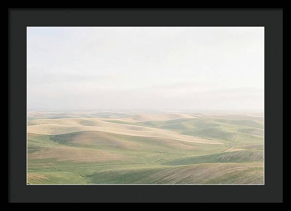Vibrant Fields Of Palouse